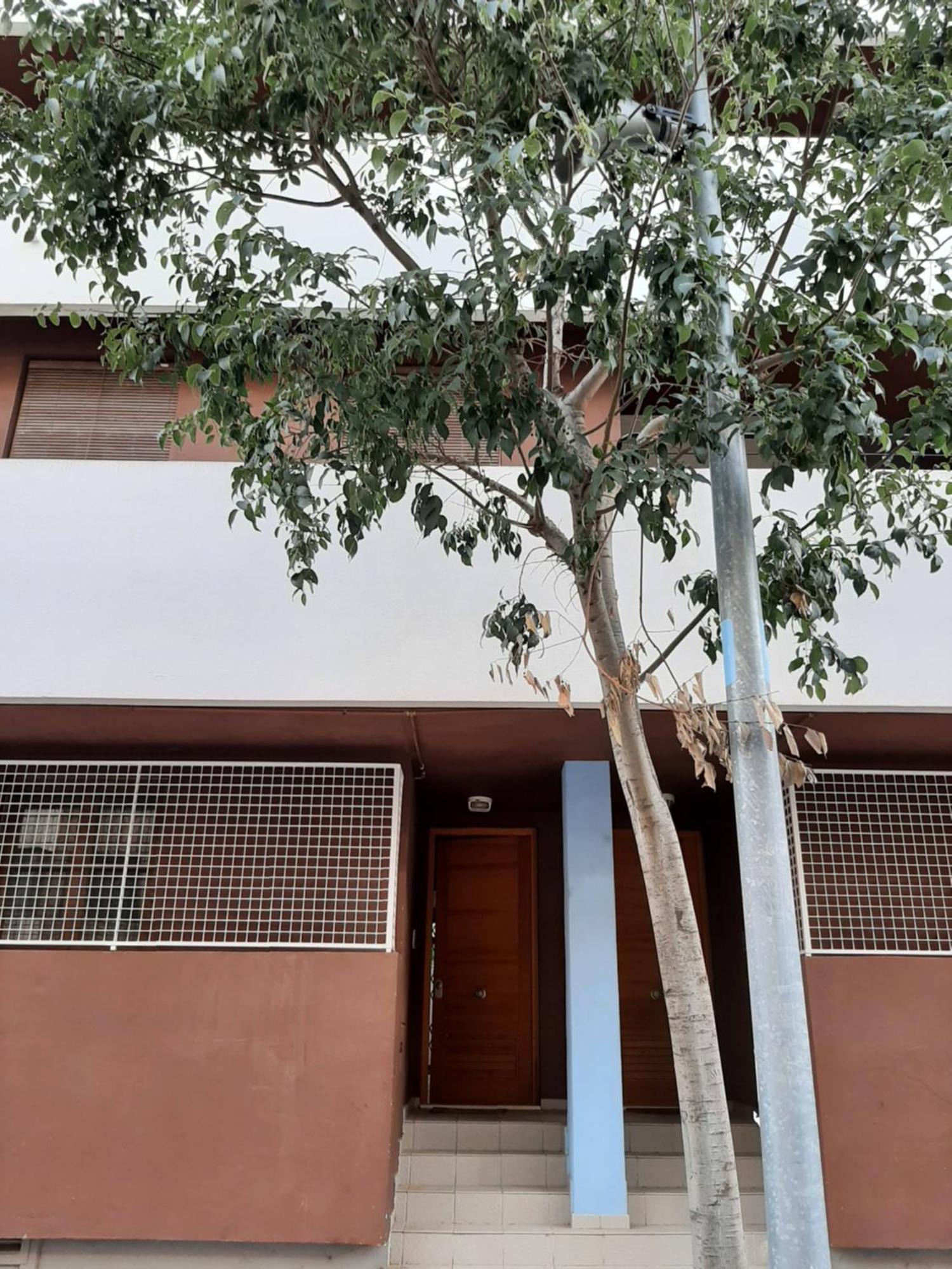 Casa Lliri Con Piscina En Massalfassar Valencia公寓 外观 照片
